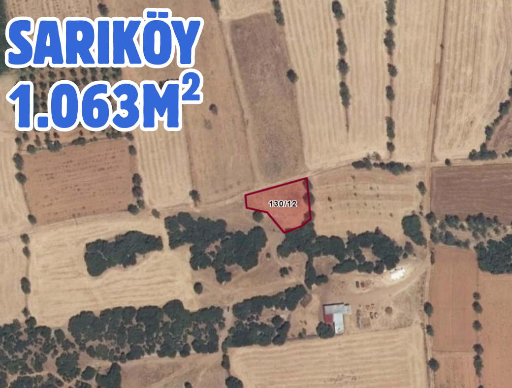 Fotoğraf